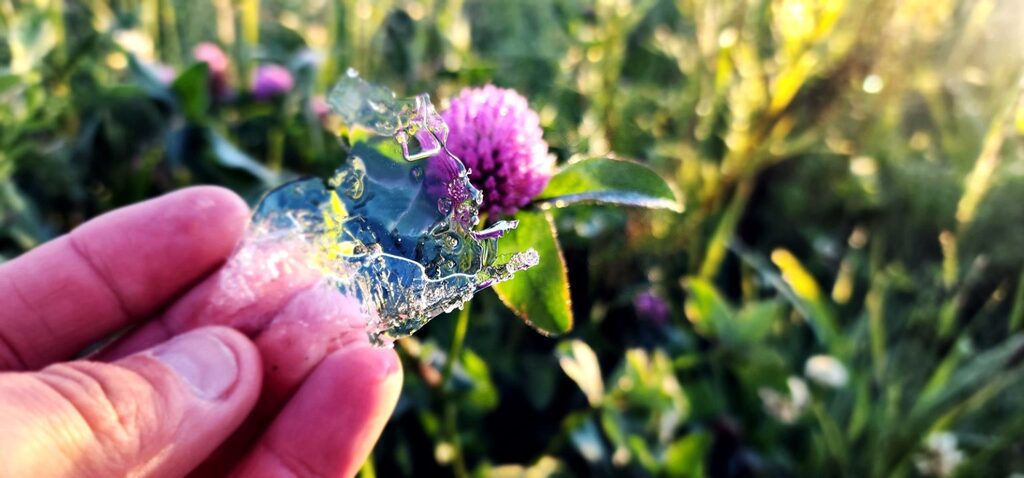 Geada cobre campos da Serra no início de novembro
